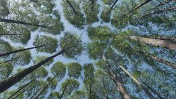 Zdjęcie ilustracyjne