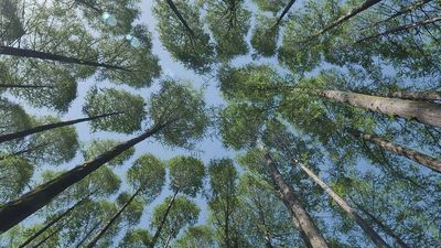 Zdjęcie ilustracyjne