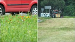 Czytelniczka martwi się o miejską zieleń w Lublinie. Ratusz: Skoszono dziką roślinność