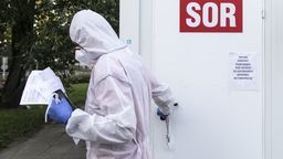 Koronawirus w woj. lubelskim. Przybywa chorych [dane z 27 lipca]