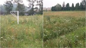 Boisko w Garbowie jak łąki łan. Jak dzieci mają tu grać w piłkę?