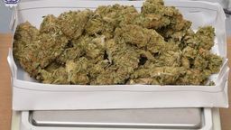 zdjęcie ilustracyjne 