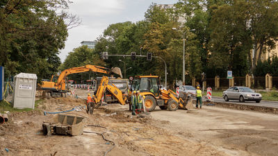 Miasto ogranicza wycinki w Al. Racławickich. Kolejne zmiany dla kierowców