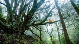 Zdjęcie ilustracyjne