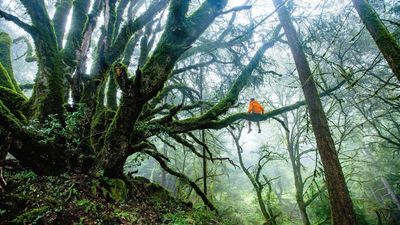 Zdjęcie ilustracyjne