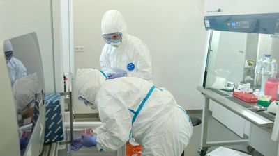 W ciągu doby liczba zakażonych wzrosła o około 170 osób