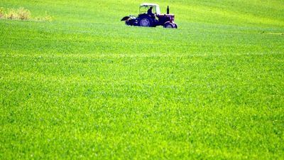 Ostatnia szansa, żeby sobie dorobić. Możesz zostać rachmistrzem