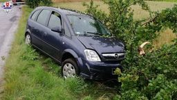 Ryki. Samochód w rowie, ale pijany kierowca chciał jechać dalej