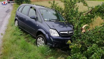 Ryki. Samochód w rowie, ale pijany kierowca chciał jechać dalej