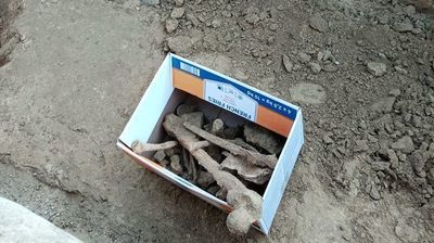 Znalezisko przy ul. Lipowej