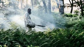 Opryski przeciw komarom od wtorku w Lublinie. Lista miejsc