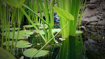 Zdjęcie ilustracyjne