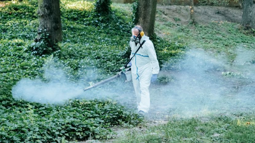Ubiegłoroczne opryski przeciw komarom w Lublinie