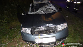 Rozbity samochód po zderzeniu z łosiem