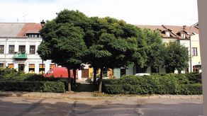 Obecny widok na włodawski Czworobok oraz jedna z wizualizacji placu po przebudowie
