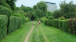 Zamiast remontu alejek miasto zapowiadało budowę nowego chodnika w miejscu ścieżki między ogródkami działkowymi na skraju os. Ruta i os. Sienkiewicza. Budowa stanęła pod znakiem zapytania ze względu na spór dotyczący własności gruntu, na którym miałby powstać chodnik
