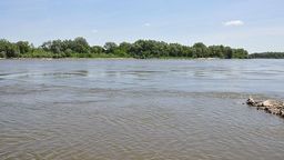 Kajak przewrócił się, mężczyzna wpadł do Wisły   