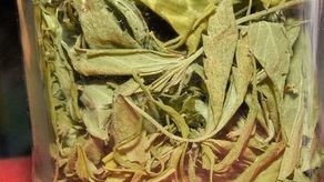 Zamość: Areszt za słoik z suszem i uprawę konopi