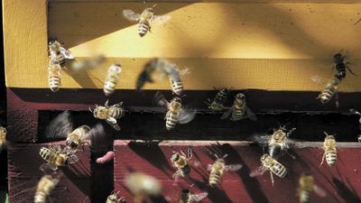 Zdjęcie ilustracyjne