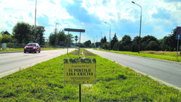 W Łęcznej też nie będą kosić niektórych trawników