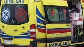 Lubelskie: Pies pogryzł pracownika McDonald's. Nie wiadomo, czy był szczepiony