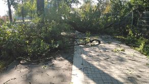 Zniszczenia w Parku Ludowym