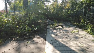 Zniszczenia w Parku Ludowym