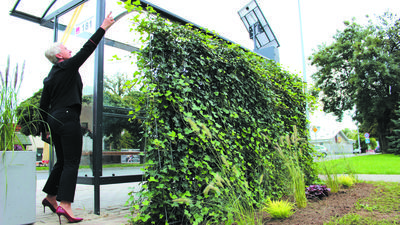 Zielone przystanki można oglądać w kilku polskich miastach, wśród nich jest Kędzierzyn-Koźle. Obok zielonej wiaty prezydent tego miasta Sabina Nowosielska.
