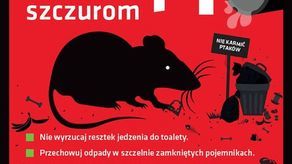 Szczury w mieście. Lublin walczy z nimi... plakatami 