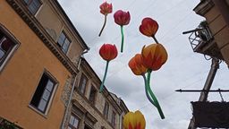 Nowa instalacja artystyczna ozdobi Stare Miasto [zdjęcia]