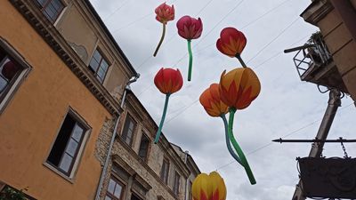 Nowa instalacja artystyczna ozdobi Stare Miasto [zdjęcia]