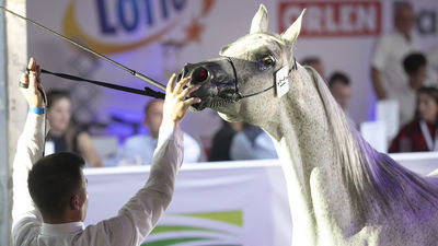 Pride of Poland 2020