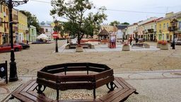 Jednym z sztandarowych projektów prezydenta miasta jest rewitalizacja pl. Łuczkowskiego. Projekt to miliony złotych – zakłada m.in. nowe drzewa ale już w donicach. Głóg pojawia się we wszystkich projektach dotyczących odnowionego placu. Ciekawe czy doczeka pomocy człowieka