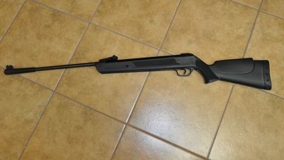 45-latek z Chełma odpowie za postrzelenie psa