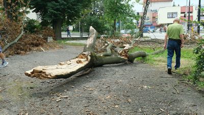 Wichura przeszła nad Lublinem dwa tygodnie temu. A w zabytkowym parku nadal pobojowisko