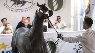 Pride of Poland 2020