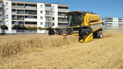 Żniwa na blokowisku. Najsłynniejszy w Lublinie rolnik już w akcji [zdjęcia]