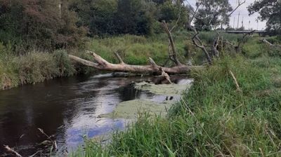 Lubelskie: Woda z kanału zalewa pola uprawne. Poseł interweniuje w Wodach Polskich 