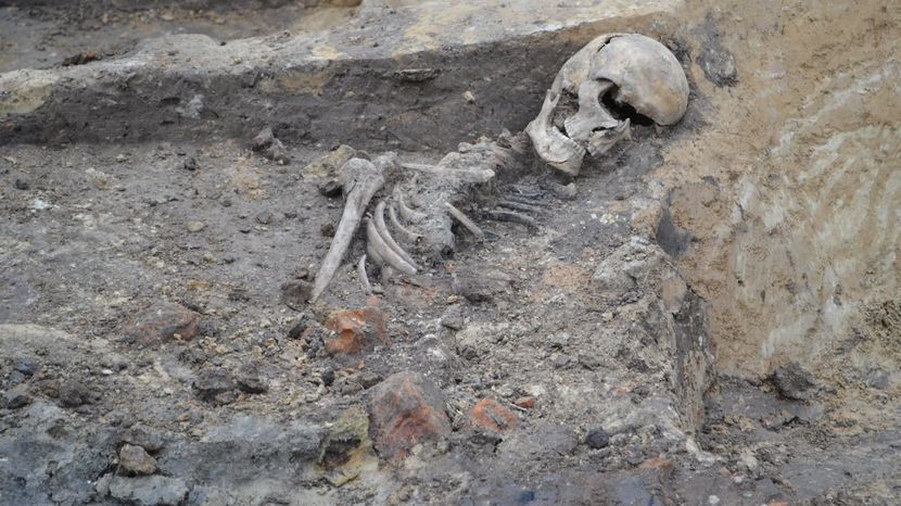 Ludzkie szczątki znalezione na budowie szpitala w Lublinie