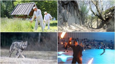 Lubelskie: Jakie atrakcje turystyczne z naszego regionu najczęściej wyszukują internauci?