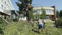 Sprzątanie po nawałnicy