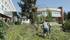 Sprzątanie po nawałnicy