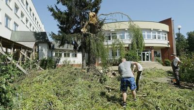 Sprzątanie po nawałnicy