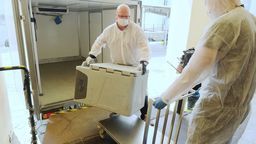 Dostawa osocza do Biomedu