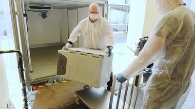 Dostawa osocza do Biomedu