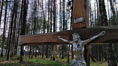 Informacja o zamiarze wycięcia ponad 500 drzew znalazła się w oficjalnym sprawozdaniu z działalności Lubelskiego Przedsiębiorstwa Gospodarki Komunalnej