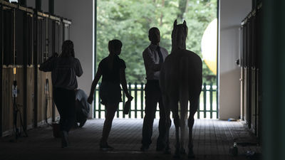 Dziś Pride of Poland 2020. Wszystko gotowe do licytacji [zobacz]