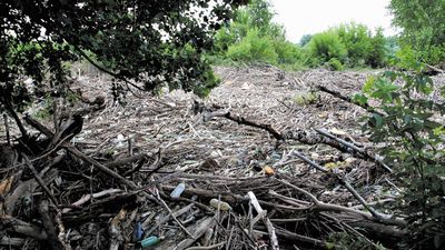 Zakole Wisły w okolicach Wólki Gołębskiej to jedno z miejsc, gdzie woda naniosła i zostawiła góry śmieci. Wody Polskie chcą, żeby do ich usuwania zaangażować więźniów opolskiego zakładu karnego