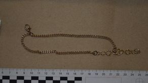 Biała Podlaska. Oszustwo w internecie. Kurier otworzył paczkę i włożył bezwartościową rzecz