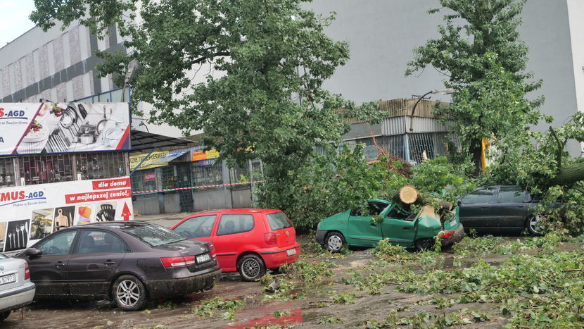 Połamane drzewo koło hali Nova w Lublinie